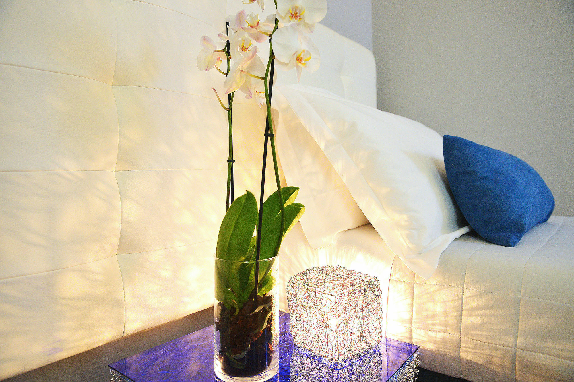 Bed and Breakfast B-Cool (Adults Only) Rzym Zewnętrze zdjęcie